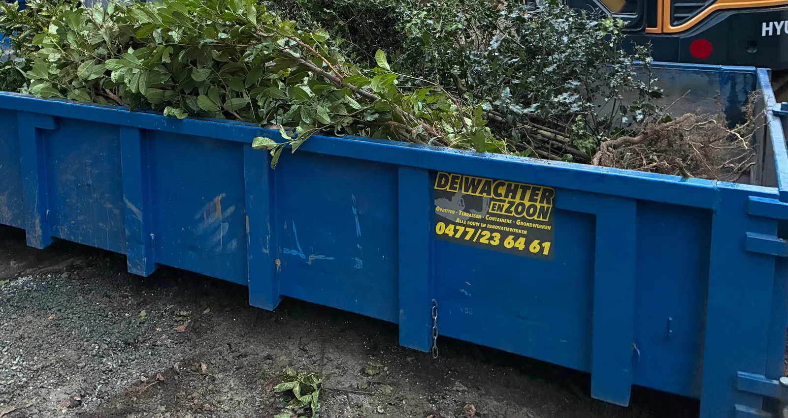 Blauwe container van 10 m³ met het opschrift De Wachter en Zoon, gevuld met struiken
